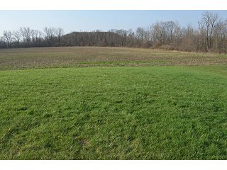 Property photo 27 - 77 +/- Acres Offered in 6 Tracts - Premier Estate Auction
